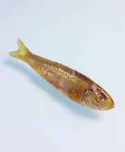 Винтажная брошь от Ken Loeber в форме рыбки-гольян 